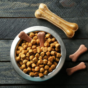 Natural balance dog food