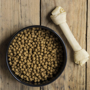 Pro Plan Savor dog food